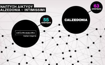ΑΝΑΠΤΥΞΗ ΔΙΚΤΥΟΥ CALZEDONIA – INTIMISSIMI